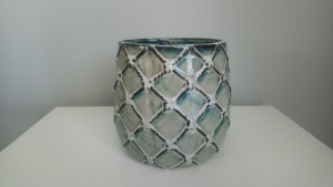 Osłonka zielona morska 15x15