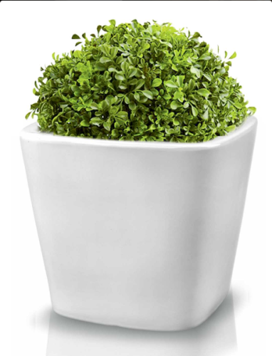 Screenshot_2019-02-07 01 504 donica kwadrat - Polnix.png