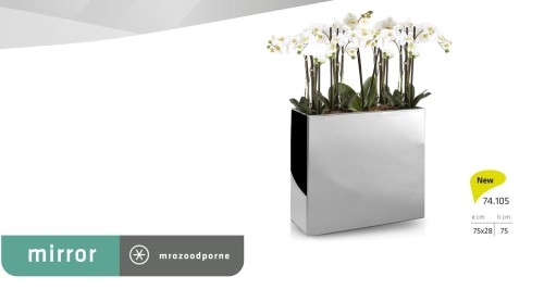 82567208_3318826301467230_285248504912150528_o (2).jpg