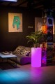 big_donica-tilla-75-cm-led-rgb-rozowy-aranzacja-1.jpg