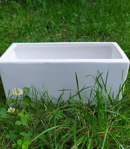 IMG_20210812_151625 (2).jpg