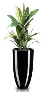 Donica czarna z włókna szklanego  z półką 62 cm 