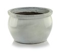 75.423-white_px.jpg