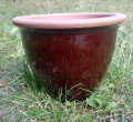 IMG_20230807_102202.jpg