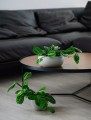 Oslonka-23-cm-ceramika-szary-Kod-producenta-05-387-23.jpg