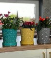 Doniczka-ceramika-szara-15-x-15-cm-Kod-producenta-15-017-15.jpg