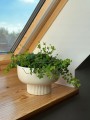 036e9c394e9d92954835038a93b5-Kod-producenta-15-020-25.jpg
