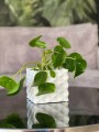 Oslonka-doniczka-biala-14-x-13-cm-ceramika-Kod-producenta-05-350-14.jpg
