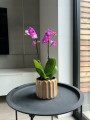 Oslonka-Doniczka-Ceramiczna-15x13-cm-bialy-Kod-producenta-05-394-15.jpg