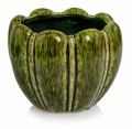 product-5129.jpg