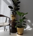 Doniczka-ceramiczna-zlota-38-x-33-cm-z-podstawka-Kod-producenta-01-511-38.jpg