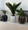 Oslonka-doniczka-ceramiczna-22-cm-biala-Kod-producenta-77-712-22.jpg