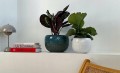 Oslonka-doniczka-19-cm-ceramiczna-niebieska-Kod-producenta-01-706-19.jpg