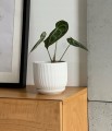 Doniczka-z-podstawka-biala-ceramiczna-14x12-cm-Wysokosc-produktu-12-cm.jpg