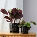 Doniczka-czarna-z-podstawka-19-cm-ceramiczna-Kod-producenta-77-704-19.jpg