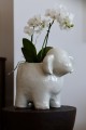 foto_add-15910.jpg
