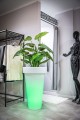 big_donica-pons-90-cm-led-rgb-zielony-aranzacja-4.jpg