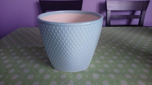 DSC_0004.JPG