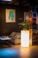 big_donica-tilla-75-cm-led-swiatlo-cieple-aranzacja-1.jpg